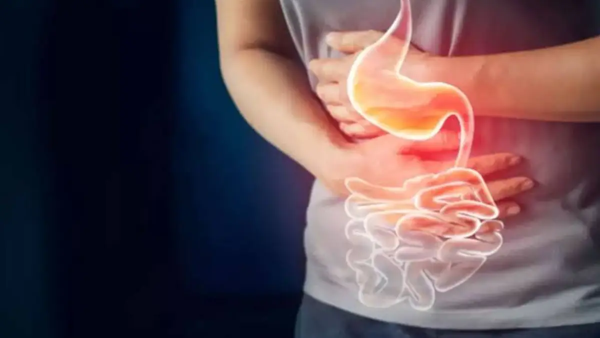 Remedies for Various Stomach Problems:  বর্ষায় পেটের বিভিন্ন সমস্যা হয়। এই সমস্যা দূর করতে  কয়েকটি খাবার রাখুন ডায়েটে