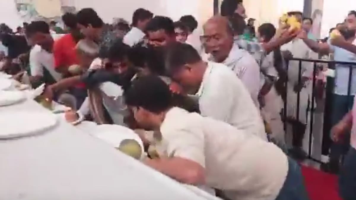 Viral Video: আম উৎসবে হামলে পড়ছেন মানুষ, যেখানে থেকে পারছেন আম তুলে দৌঁড়, দেখুন ভাইরাল ভিডিয়ো