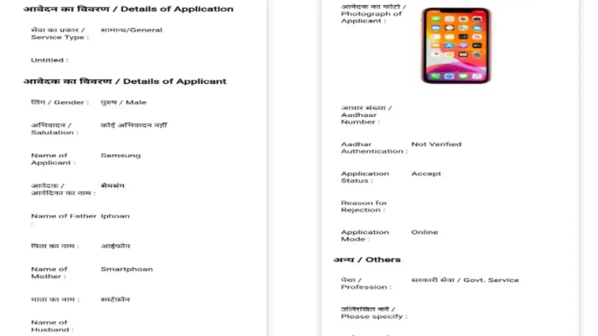 Bihar: ছেলের নাম স্য়ামসং, বাবা-মা আইফোন, স্মার্টফোন; ইনকাম সার্টিফিকেটের আবেদনপত্র দেখে চক্ষু চড়কগাছ