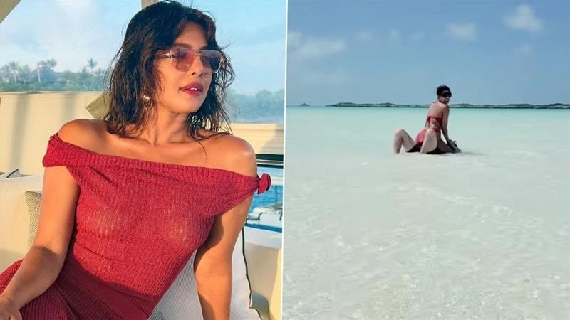 Priyanka Chopra-Nick Jonas Viral Video: সৈকতে ঘনিষ্ঠতায় উন্মত্ত প্রিয়াঙ্কা-নিক? পিগির ভিডিয়ো ভাইরাল