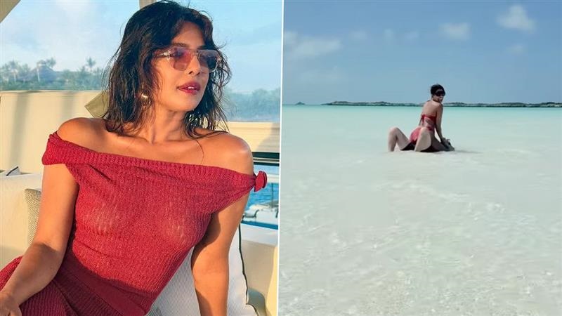 Priyanka Chopra-Nick Jonas Viral Video: সৈকতে ঘনিষ্ঠতায় উন্মত্ত প্রিয়াঙ্কা-নিক? পিগির ভিডিয়ো ভাইরাল