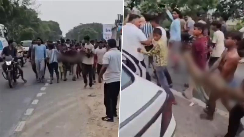 Python Video: ১৫ ফুট লম্বা পাইথনকে হাতে তুলে নিয়ে রিলস, 'সাহস' দেখে হতবাক নেটিজেনরা