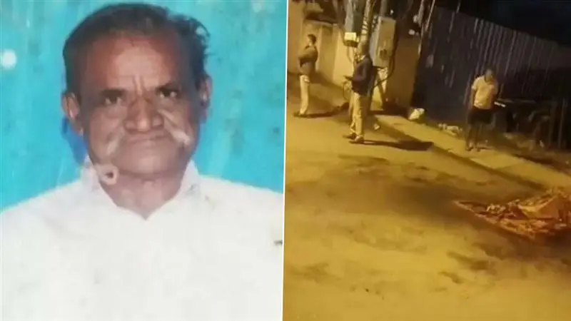 Dog Attack In Bengaluru: সকালে হাঁটতে বেরিয়ে মর্মান্তিক পরিণতি, কুকুরের আক্রমণে মৃত্যু বৃদ্ধের