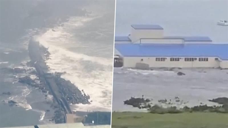 Tsunami In California Video: সমুদ্র যেন হা করে গিলতে আসছে, সুনামি আছড়ে পড়ল ক্যালিফোর্নিয়া উপকূলে, ভিডিয়ো দেখুন
