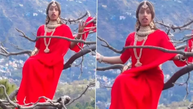 Viral Girl: 'আমি রানি', শাড়ি পরে গাছের মগডালে চড়ে বসলেন তরুণী, রিলসের চক্করে নিজেকে হাসির খোরাক বানালেন তরুণী