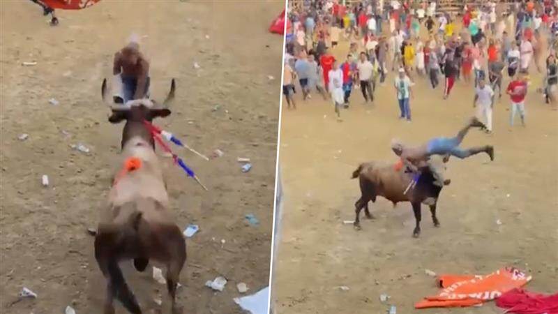 Bullfighter: কলম্বিয়ায় ষাঁড়ের লড়াই উৎসবে যুবকের মৃত্যু, দেখুন ভিডিও