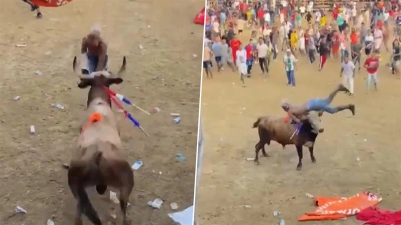 Bullfighter: কলম্বিয়ায় ষাঁড়ের লড়াই উৎসবে যুবকের মৃত্যু, দেখুন ভিডিও