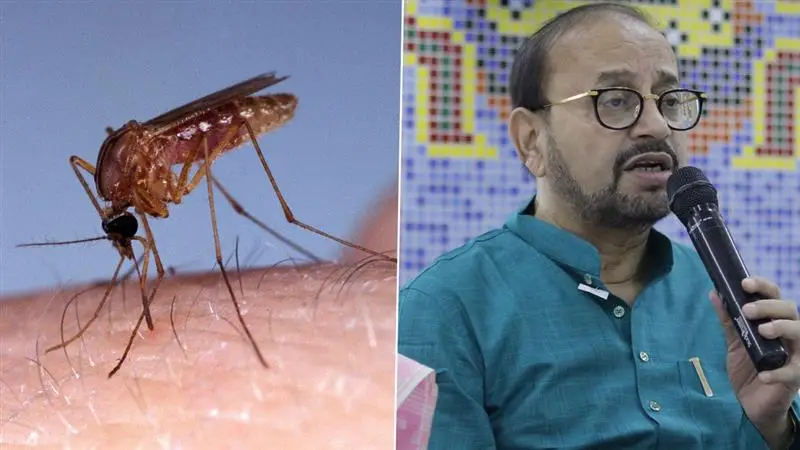 Kolkata Municipal Corporation On Dengue Precaution:  শহরের মোট সাতটি ওয়ার্ডকে ডেঙ্গুপ্রবণ এলাকা বলে চিহ্নিত করেছে কলকাতা পুরসভা, জানালেন ডেপুটি মেয়র অতীন ঘোষ