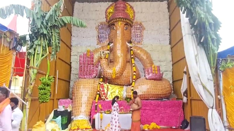 Ganesh Idol: ৭৫০০টি বই ব্যবহার করে গণেশ মূর্তি তৈরি, দেখুন ভিডিও