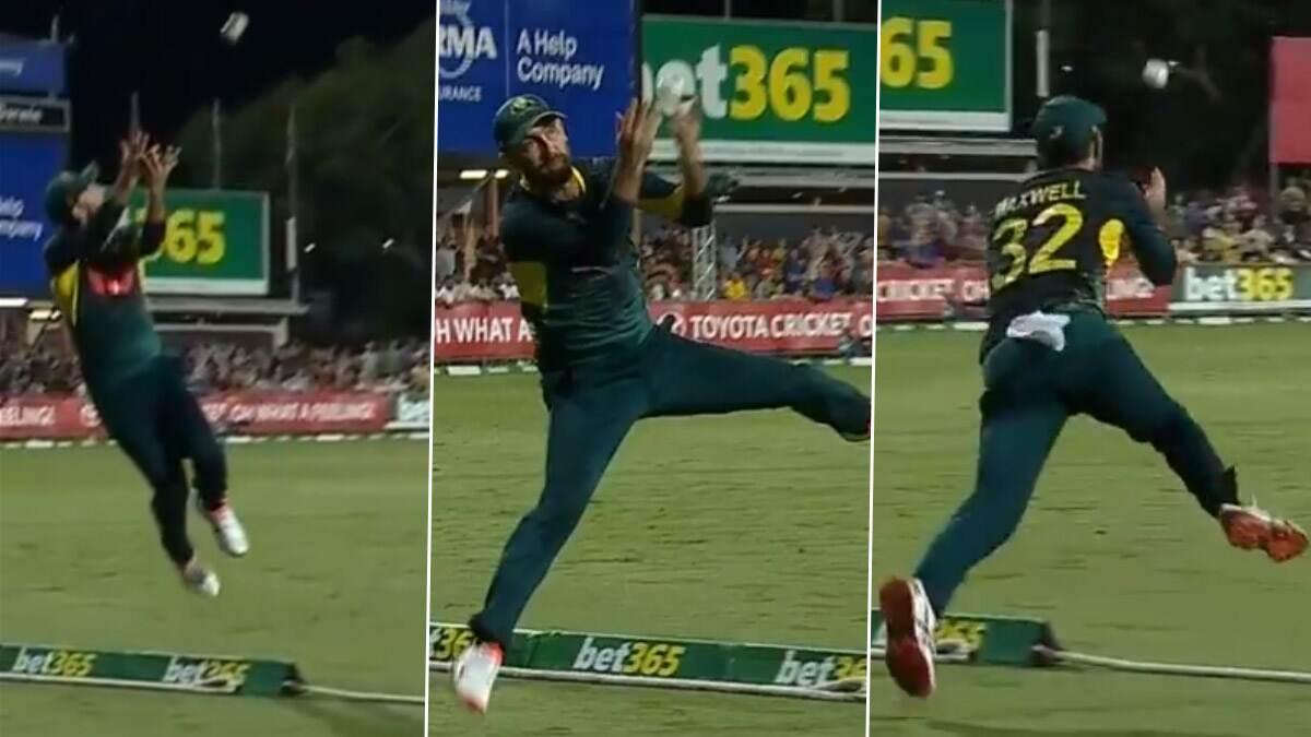Glenn Maxwell Catch Video: বছরের সেরা ক্য়াচ লুফে অস্ট্রেলিয়াকে জেতালেন গ্লেন ম্য়াক্সওয়েল, দেখুন ভিডিও