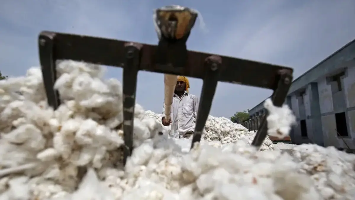 Import Duty Exemption On Raw Cotton: তুলোর উপর আমদানি শুল্ক অব্যাহতির মেয়াদ বাড়ল ৩১ ডিসেম্বর পর্যন্ত, জানাল প্রেস ইনফরমেশন ব্যুরো