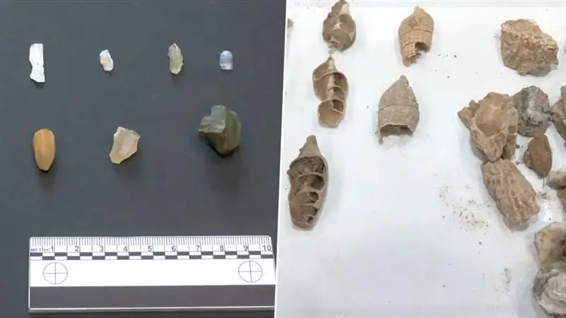 Gujarat: গুজরাটের কচ্ছে ৯,০০০ বছর আগের প্রত্নতাত্ত্বিক নিদর্শন আবিষ্কার, দেখুন ভিডিও