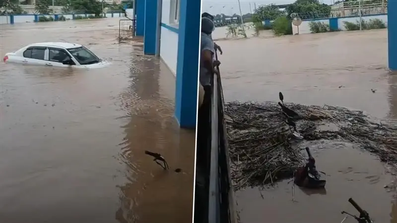 Floods In Punjab: বন্যায় লণ্ডভণ্ড পঞ্জাব, মৃতের সংখ্যা বেড়ে ১৯