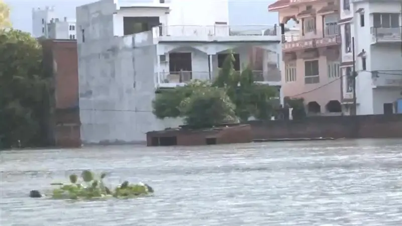 Uttar Pradesh Flood Situation: বারাণসীতে অবিরাম ভারী বৃষ্টিতে আবাসিক এলাকা প্লাবিত,  গঙ্গা নদীর জলস্তর বৃদ্ধিতে চিন্তায় বাসিন্দারা (দেখুন ভিডিও)