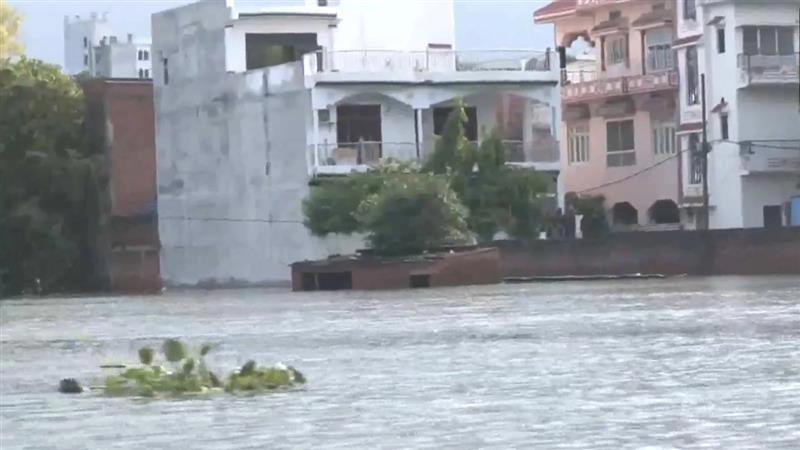 Uttar Pradesh Flood Situation: বারাণসীতে অবিরাম ভারী বৃষ্টিতে আবাসিক এলাকা প্লাবিত,  গঙ্গা নদীর জলস্তর বৃদ্ধিতে চিন্তায় বাসিন্দারা (দেখুন ভিডিও)