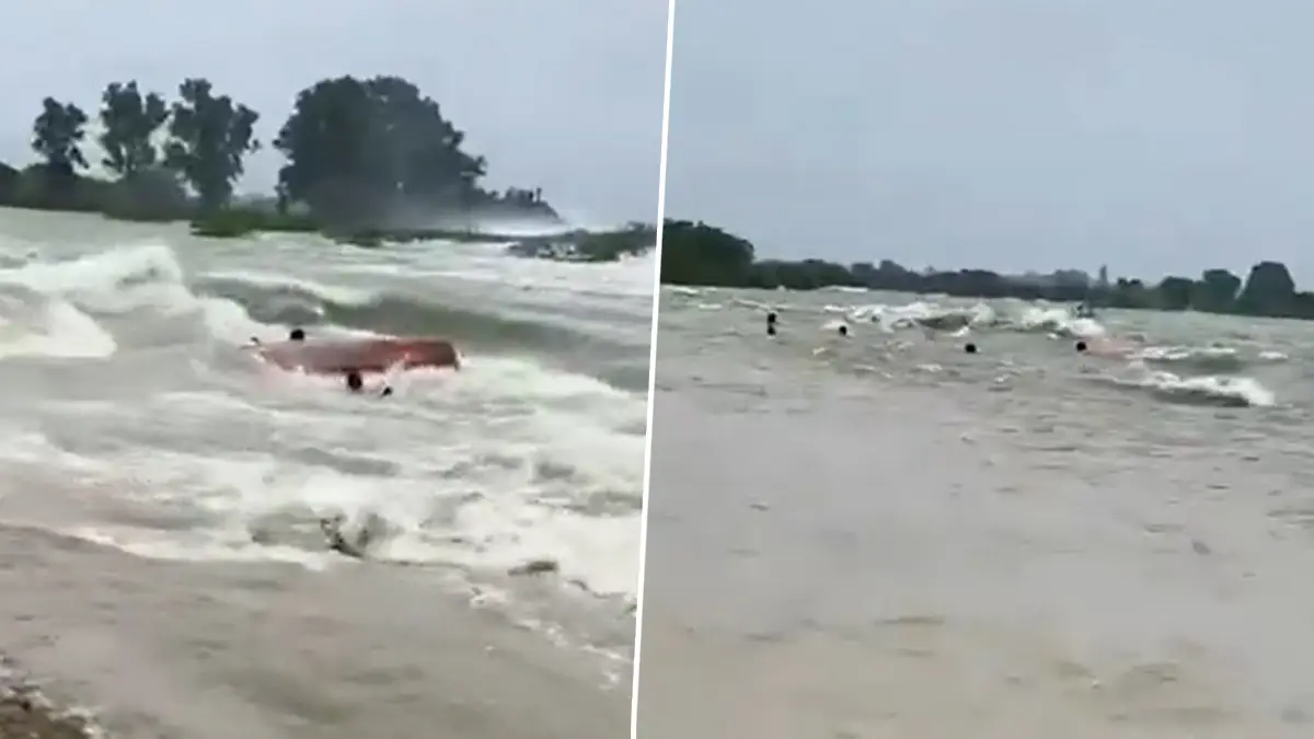 Rajasthan: ভারী বর্ষণে বন্যা পরিস্থিতি সোয়াই মাধোপুরে, নৌকা সমেত জলে ভেসে গেলেন ১০ যাত্রী, দেখুন ভিডিয়ো