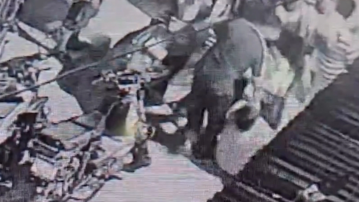 Huma Qureshi's Cousin Murder Video: দেখুন কীভাবে অভিনেত্রী হুমা কুরেশির দাদাকে পার্কিং নিয়ে বচসার জেরে ছুরি মেরে খুন করা হচ্ছে