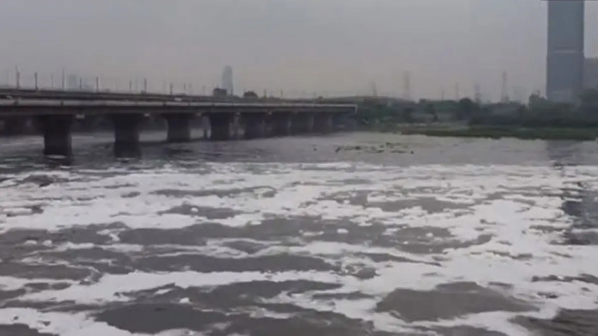 Yamuna Bridge: বোনের সঙ্গে ভিডিও কলে কথা বলতে বলতে যমুনা সেতু থেকে ঝাঁপ দিলেন যুবক