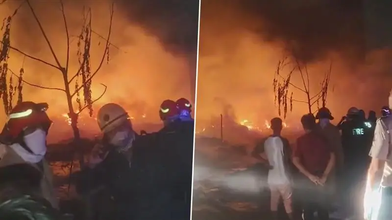 Delhi Fire: রোহিনীর বস্তিতে বিধ্বংসী আগুন, পুড়ে ছাঁই ৫০টি ঝুপড়ি, দেখুন ভিডিয়ো