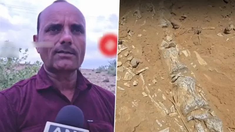 Phytosaur Fossil: ভারতে এই প্রথম মিলল 'ফাইটোসর'-এর জীবাশ্ম, জয়সালমেরে মিলল ২০ কোটি বছরের পুরনো দেহাবশেষ