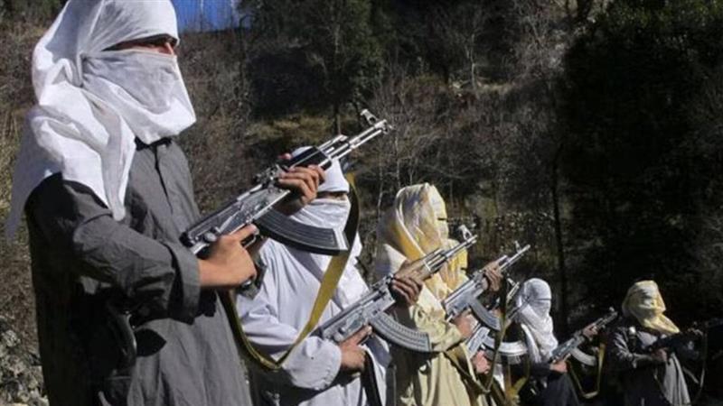 Jammu and Kashmir: দেশে ফের নাশকতার ছক? কাশ্মীর থেকে অস্ত্র-সহ গ্রেফতার পাক জঙ্গি সংগঠনের ২ সহযোগী