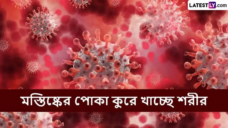 Beware Of Brain Eating Amoeba: কোভিডের চেয়েও ভয়ঙ্কর রূপ নিচ্ছে ব্রেন ইটিং অ্য়ামিবা? মস্তিষ্ক-খেকোর কামড়ে এক মাসেই মৃত ১২, পরিস্থিতি ভয়াবহ হচ্ছে কেরলে