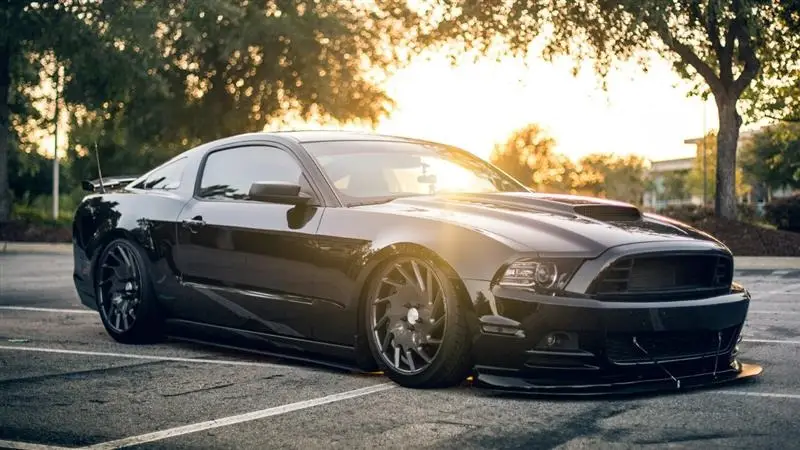 'Thak Thak' Gang Video: গাড়ি চালানোর সময় 'ঠক ঠক গ্যাং' লুটেপুটে নিতে পারে আপনাকে, খুব সাবধান হয়ে যান এই ভিডিয়ো দেখে