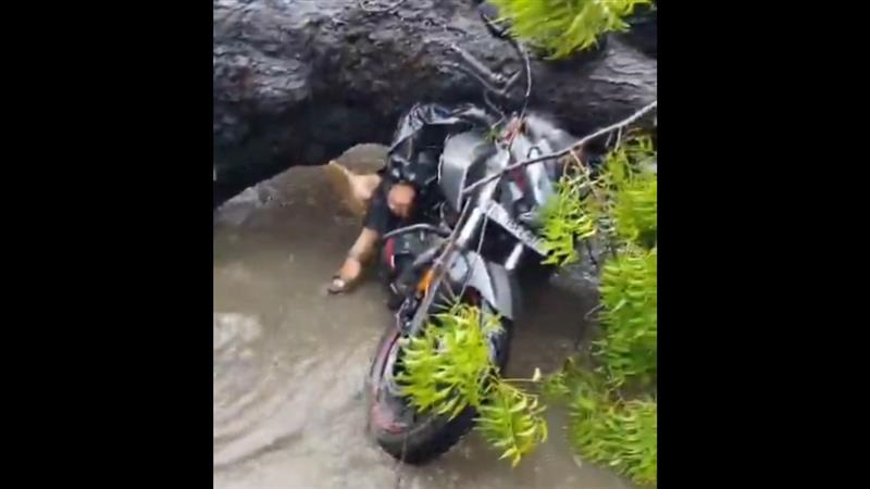 Chilling Video: গাছের মাঝে আটকে ঝুলছে মৃতদেহ, একটানা বৃষ্টির ভয়াবহতা দেখলে কেঁপে উঠবেন