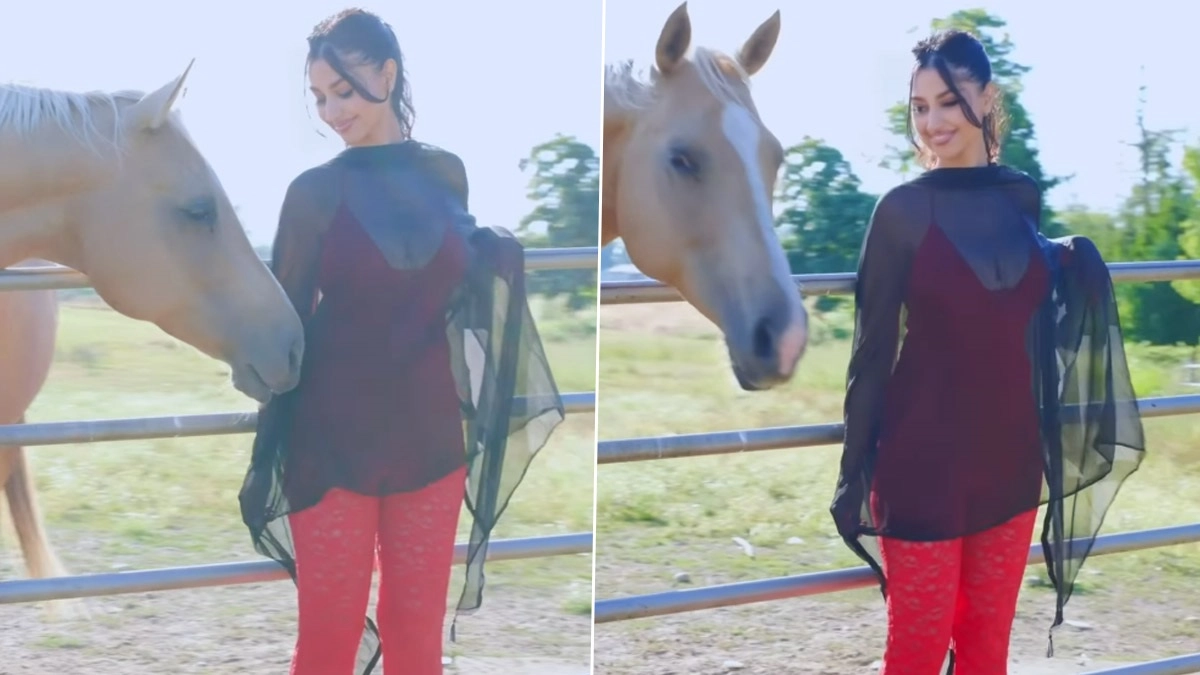 Diva Flawless Hot Video: ঘোড়ার সঙ্গে 'হট' ফটোশ্যুট, ফের সোশ্যাল মিডিয়ায় ঝড় তুলছেন ডিভা  ফ্ললেস, দেখুন ভিডিয়ো