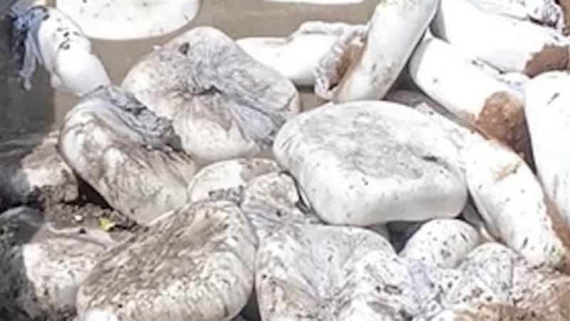 Fake Paneer: রাজ্যে রাজ্যে অভিযান চালিয়ে ফের উদ্ধার নিম্নমানের নকল পনির