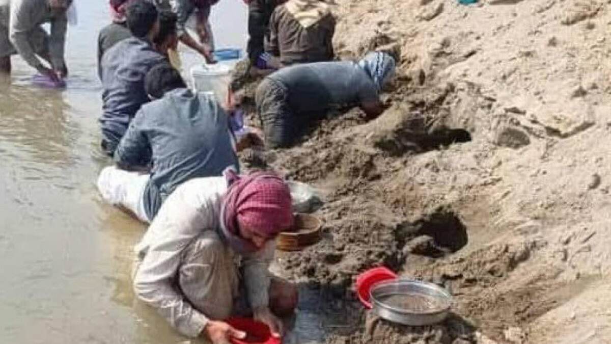 Gold Dust In River? খোঁজ মিলল সোনার খনির? নদীর জল শুকোতেই গর্ত খুঁড়ে মানুষ খুঁজছে অমূল্য রতন? দেখুন সেই ছবি