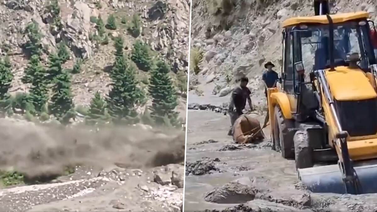 Heavy Rain In Himachal Pradesh: মেঘভাঙা বৃষ্টিতে জলের সঙ্গে কাঁদার স্রোত, ধুয়ে মুছে সাফ একাধিক সেতু, দেখুন ভয়াবহ ভিডিয়ো