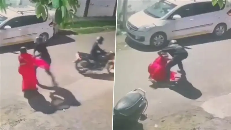 Jaipur Shocker: চোখে লঙ্কার গুঁড়ো ছিটিয়ে বৃদ্ধার গলার সোনার চেইন নিয়ে চম্পট দুষ্কৃতীদের