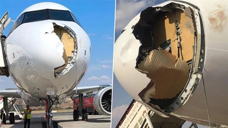 Bird strike In Flight: বিমানে পাখির ধাক্কা, ভেঙেচুরে গেল সামনের অংশ, যাত্রীদের কী ভয়ঙ্কর পরিস্থিতি হল দেখুন ভিডিয়োতে