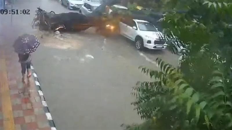 Horrific Video Of Rain: হঠাৎ করে গাছ উপড়ে পড়ল, দেখুন ভিডিয়োতে কীভাবে প্রাণ গেল এই ব্যক্তির