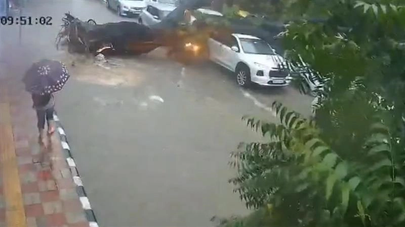 Horrific Video Of Rain: হঠাৎ করে গাছ উপড়ে পড়ল, দেখুন ভিডিয়োতে কীভাবে প্রাণ গেল এই ব্যক্তির