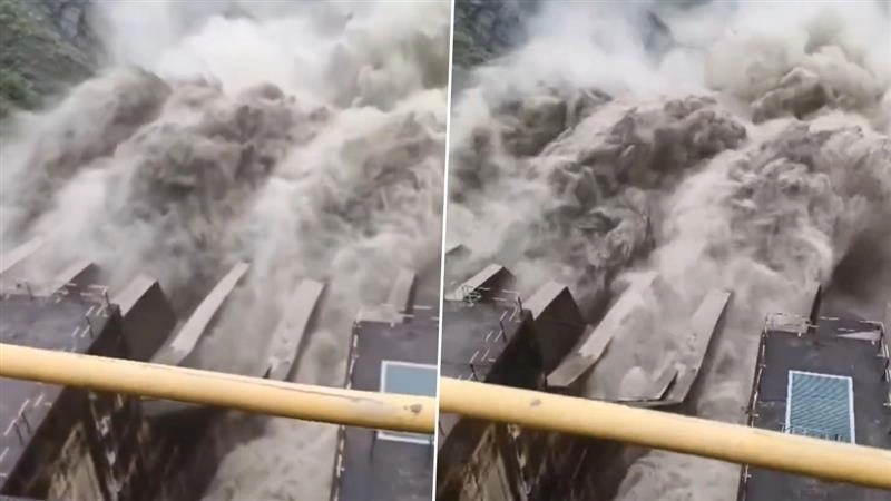 Himachal Pradesh Flood: হিমাচলের ভয়ঙ্কর পরিস্থিতি, 'গিলে খাচ্ছে' বিপাশা, রবি নদী