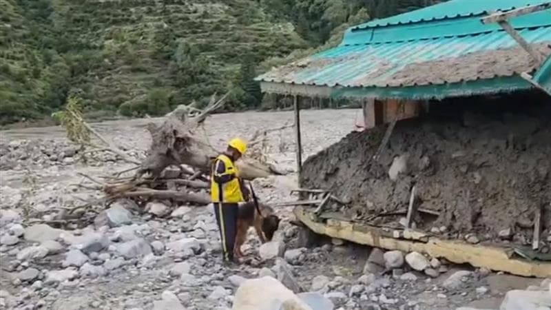 Uttarakhand Flood: বন্যায় নিশ্চিহ্ন উত্তরকাশির ধারালি গ্রাম, ভাঙাচোরা, 'ভূতুড়ে' বাড়ি সব পড়ে, দেখুন ভিডিয়ো