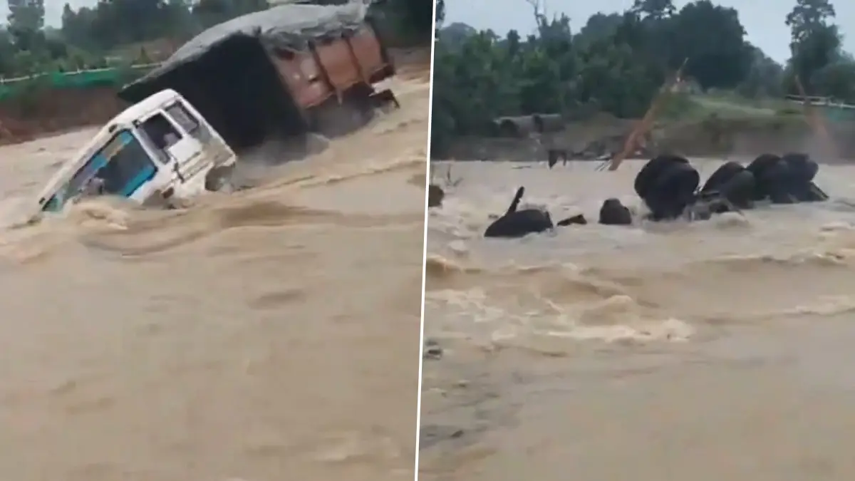 Flood Video: ধপ করে পড়ে বন্যার জলে তলিয়ে গেল বিশালাকার কয়লার ট্রাক, দেখুন ভাইরাল ভিডিয়ো