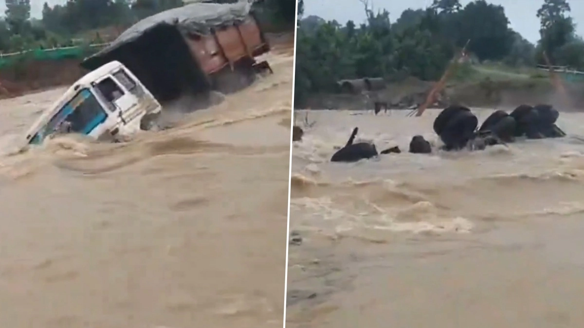 Flood Video: ধপ করে পড়ে বন্যার জলে তলিয়ে গেল বিশালাকার কয়লার ট্রাক, দেখুন ভাইরাল ভিডিয়ো