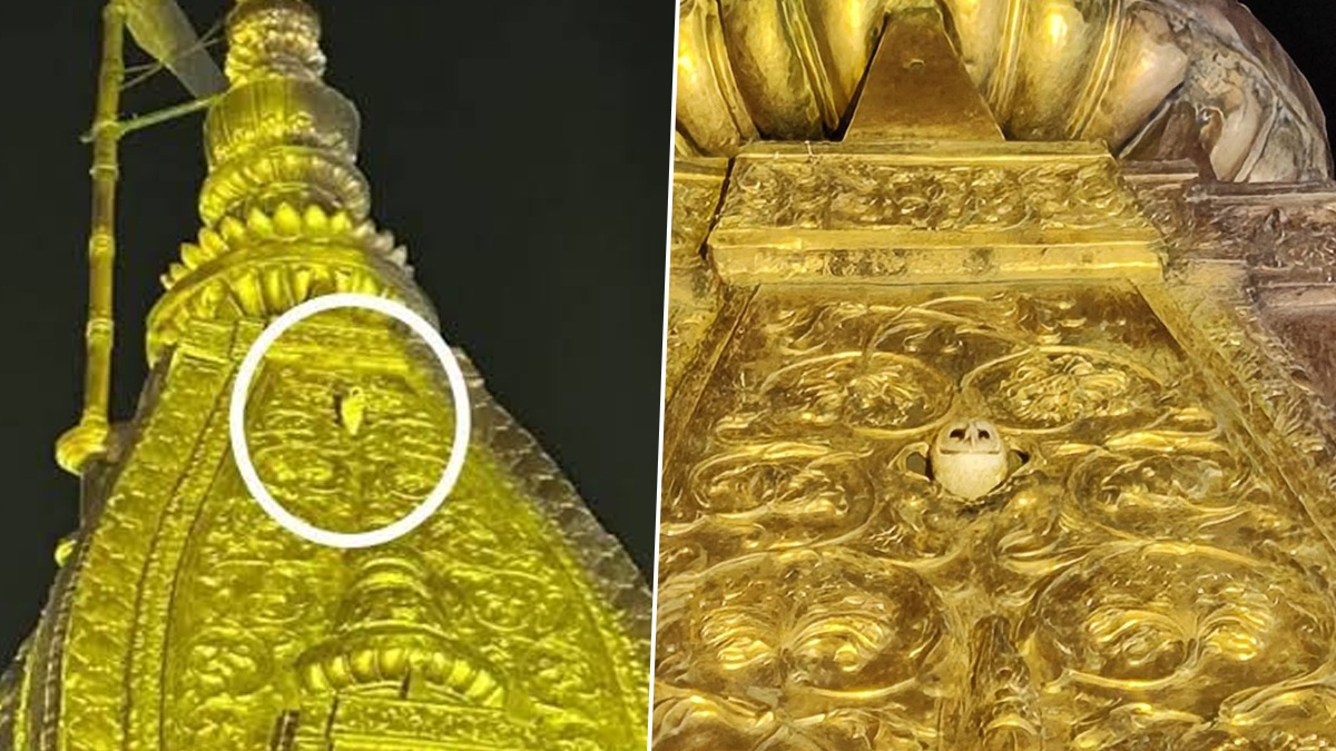 White Owl At Kashi Vishwanath Temple Video: মা লক্ষ্মীর 'বাহনের' দুর্লভ দর্শন, আরতির সময় কাশী বিশ্বনাথ মন্দিরের সোনালী চূড়ায় এসে বসে রইল সাদা পেঁচা, দেখুন