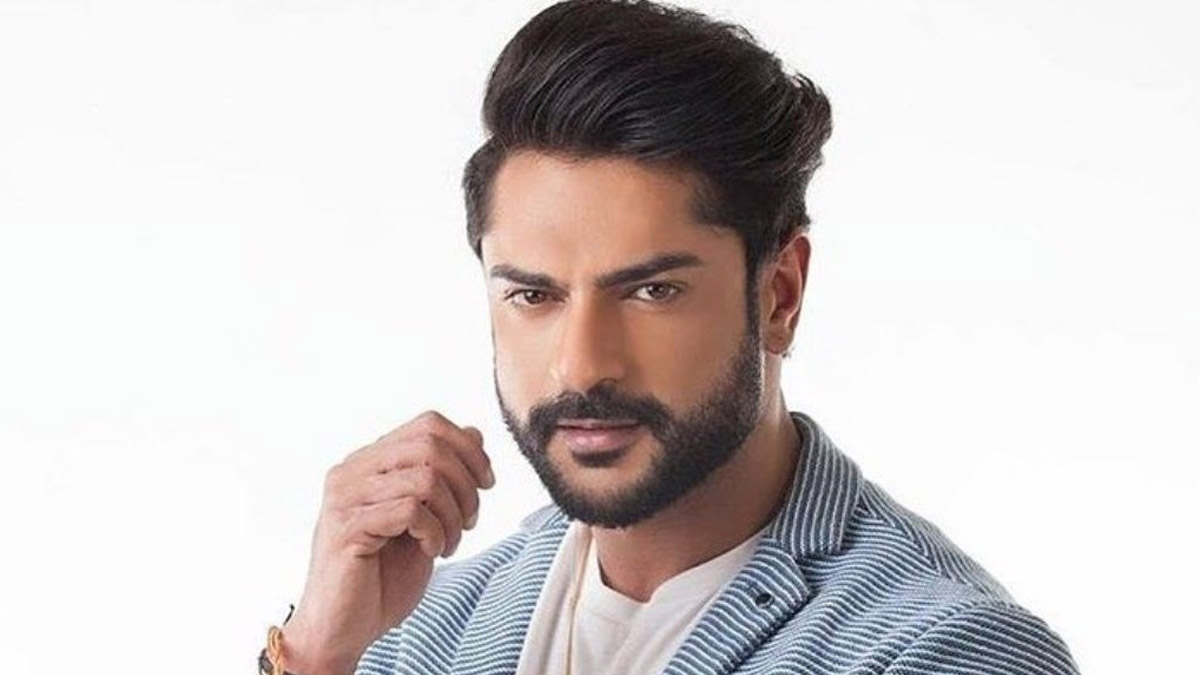 Ashish Kapoor: অনুরাগীকে ধর্ষণের অভিযোগে গ্রেফতার আশীষ কাপুরকে পুলিশি হেফাজতে পাঠাল দিল্লির আদালত