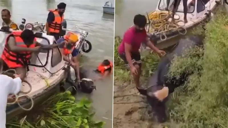 Punjab Flood: পঞ্জাবে বন্য়ায় এক মাসের বেতনের অর্থ অনুদান আপ বিধায়ক-সাংসদদের, ঘোষণা কেজরিওয়ালের