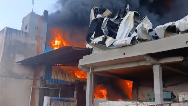 Fire Breaks Out: গদি তৈরির কারখানায় ভয়াবহ আগুন, ঘটনাস্থলে দমকল বাহিনী
