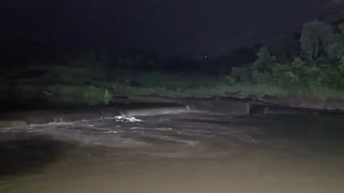 Ganapati Visarjan: শাহপুরে গনেশ বিসর্জন করতে গিয়ে নদীর জলে তলিয়ে গেল ৩ যুবক, রাতের অন্ধকারে চলছে উদ্ধারকাজ