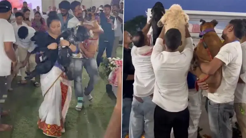 Zubeen Garg's Dogs Tribute: জুবিনের অভাবে থমকে গিয়েছে তাঁর প্রিয় কুকুরগুলোর জীবন, শোক প্রকাশ হিমন্ত বিশ্ব শর্মার