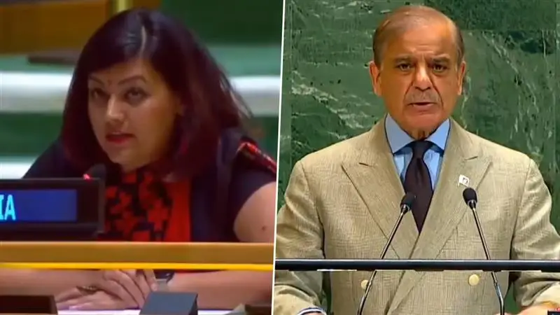 UNGA 2025: রাষ্ট্রসংঘে পাক প্রধানমন্ত্রী শাহবাজ শরিফের বক্তব্যকে অবাস্তব নাটক বলে জবাব ভারতের, দেখুন কী বললেন নয়া দিল্লির কুটনীতিক