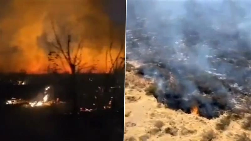Namibia: নামিবিয়ার ইটোশা জাতীয় উদ্যানে ভয়াবহ আগুন ছড়িয়ে পড়েছে, দেখুন ভিডিও