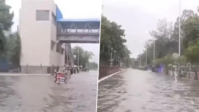 Kolkata Rains: জল নামতে শুরু করলেও কলকাতায় জলযন্ত্রণা অব্যাহত, মৃত্যু বেড়ে ১০, দুর্যোগের দুঃস্বপ্ন কাটিয়ে জীবনে ফেরার লড়াইয়ে শহরবাসী