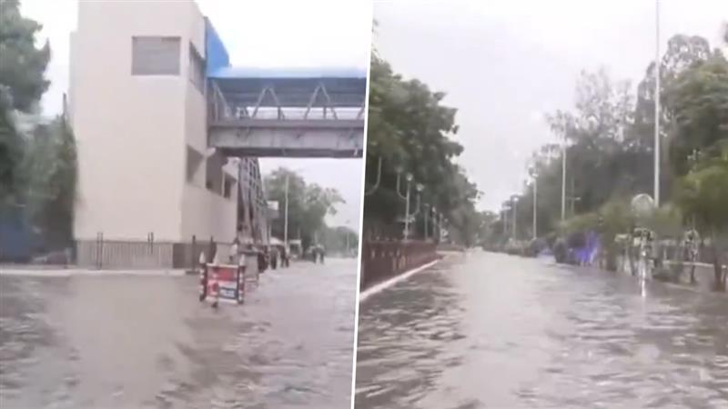 Kolkata Rains: জল নামতে শুরু করলেও কলকাতায় জলযন্ত্রণা অব্যাহত, মৃত্যু বেড়ে ১০, দুর্যোগের দুঃস্বপ্ন কাটিয়ে জীবনে ফেরার লড়াইয়ে শহরবাসী